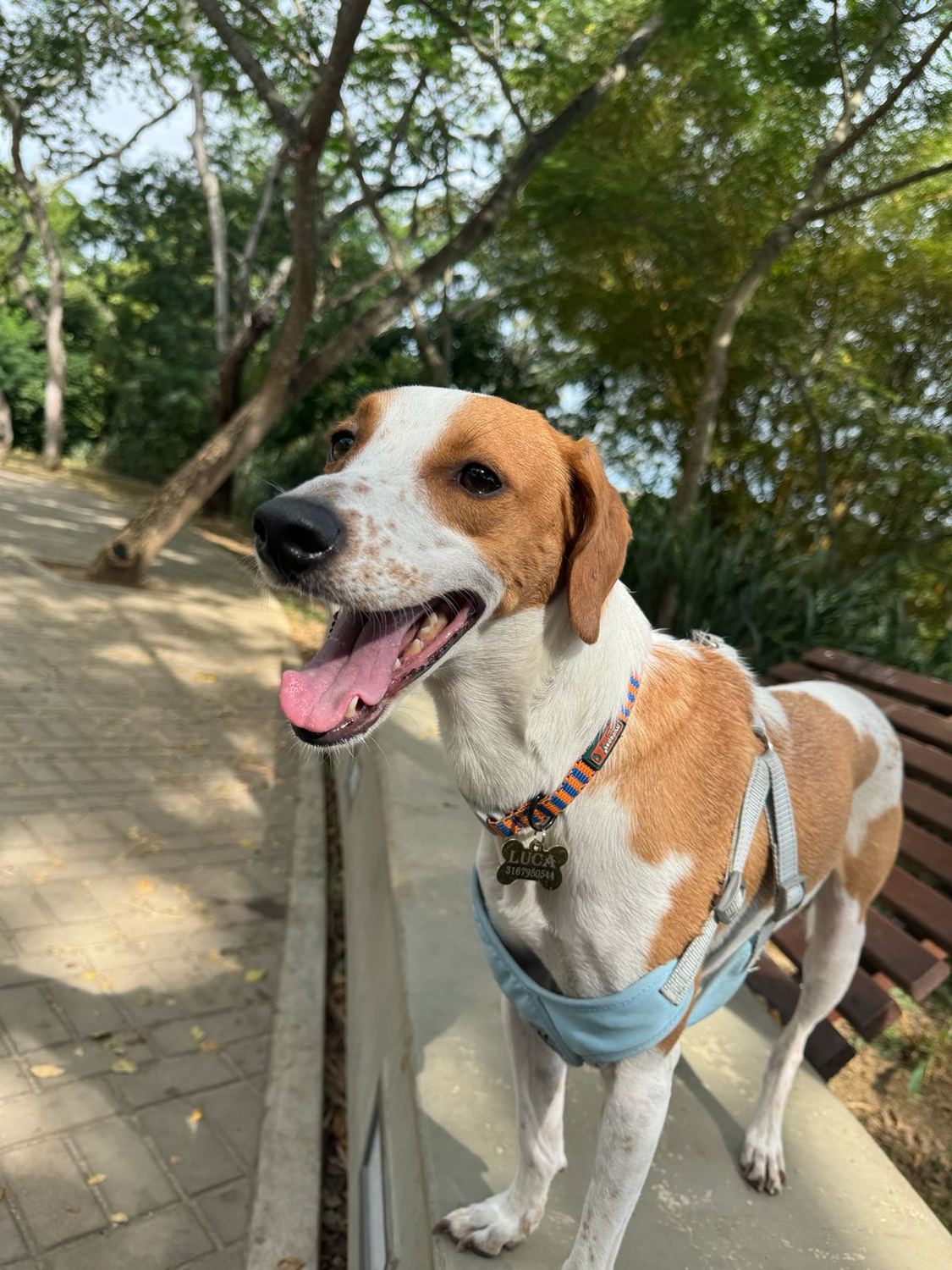 Luca en el parque